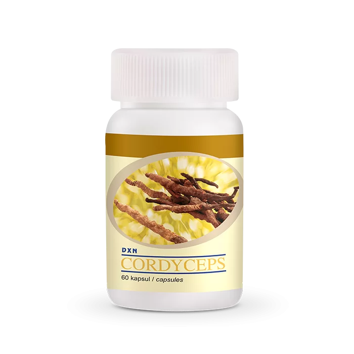 DXN Cordyceps Kapseln