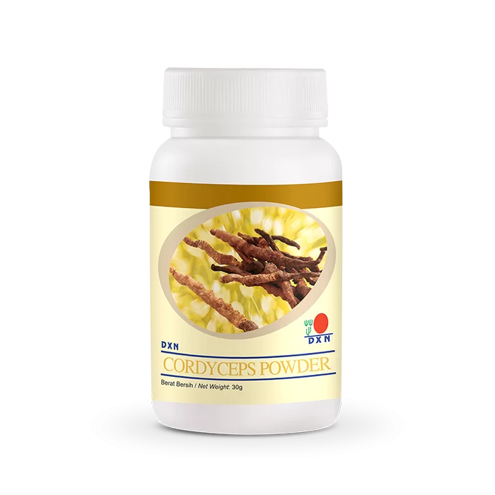 Cordyceps Pulver