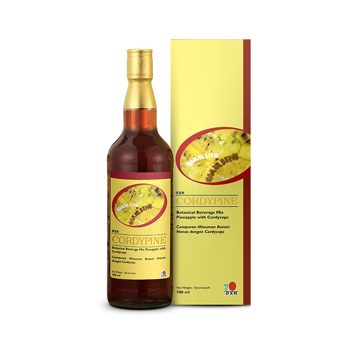 Cordypine 700 ml - fermentierter Ananassaft mit Cordyceps