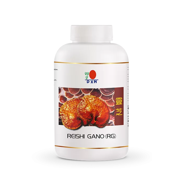 Reishi Gano (RG) 360 Ganoderma Kapseln