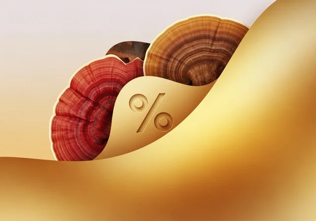 Mitgliedervorteile